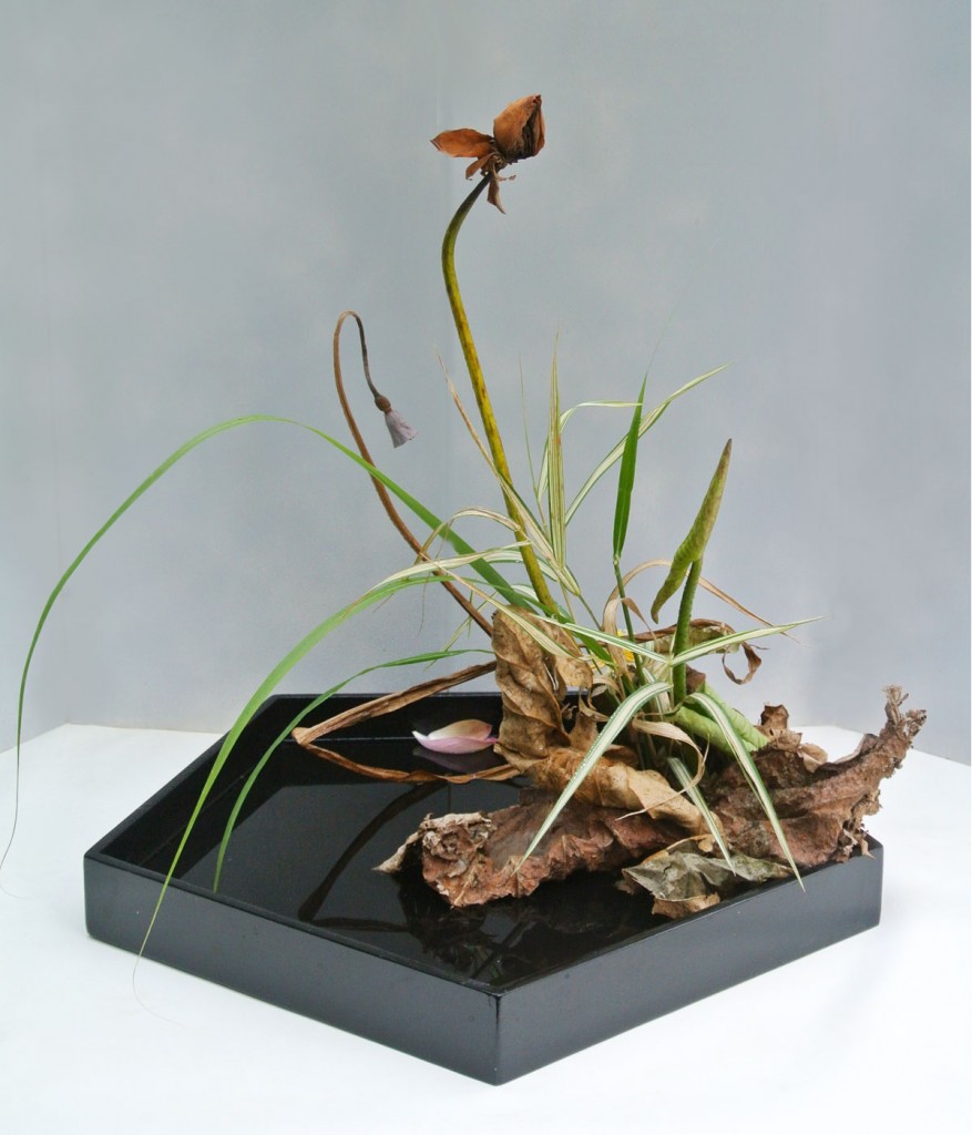 landskap_lotus_2014_1