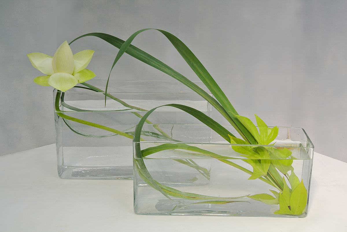 glas_lotus_2014_2