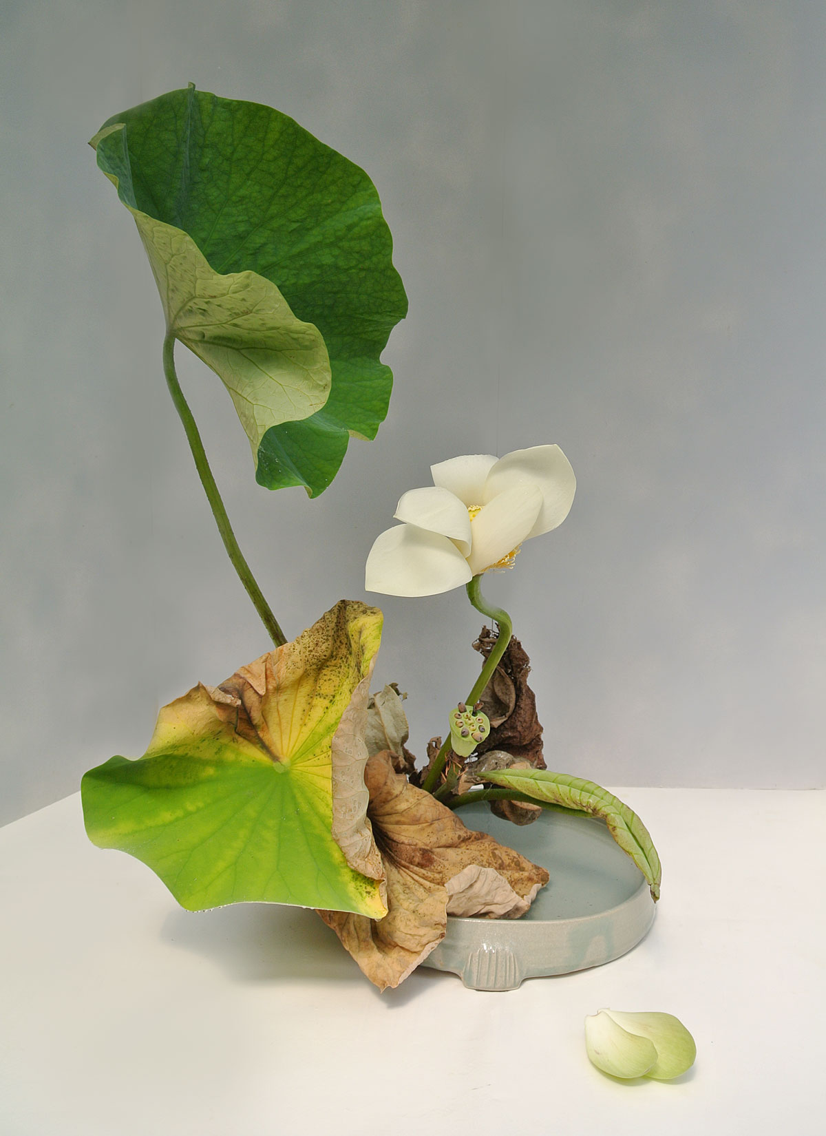 Boel Lindbergh. Ikebana Ohara. Bunjin moribana