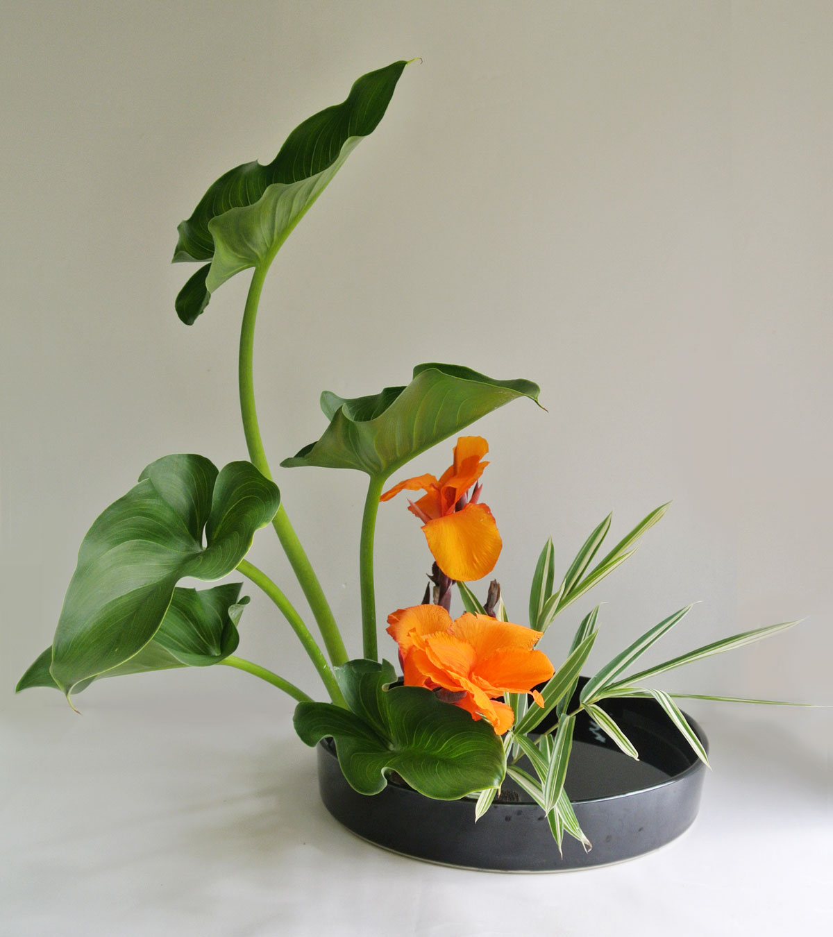 moribana_upright_2012